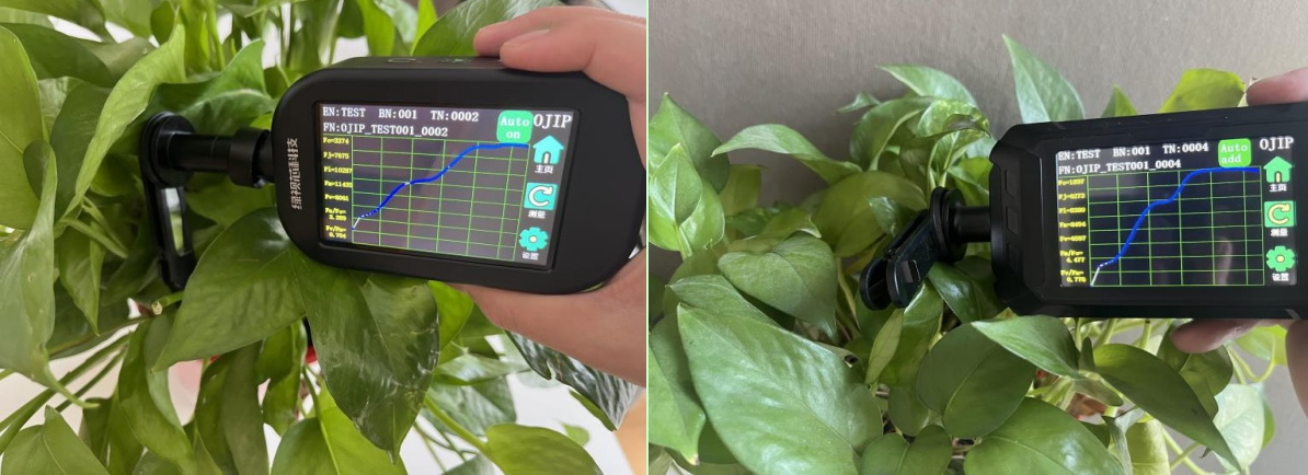 从叶片到冠层，从定位到遥感 四款不同的SIF测量系统 带您全维度了解植被叶绿素荧光测量！