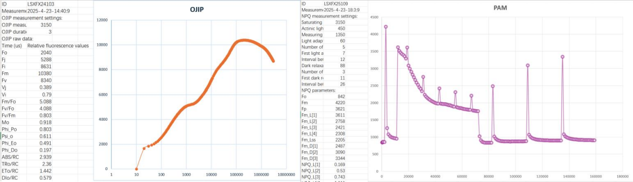 从叶片到冠层，从定位到遥感 四款不同的SIF测量系统 带您全维度了解植被叶绿素荧光测量！