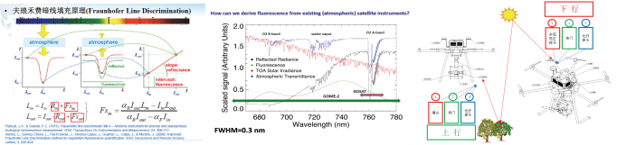 从叶片到冠层，从定位到遥感 四款不同的SIF测量系统 带您全维度了解植被叶绿素荧光测量！