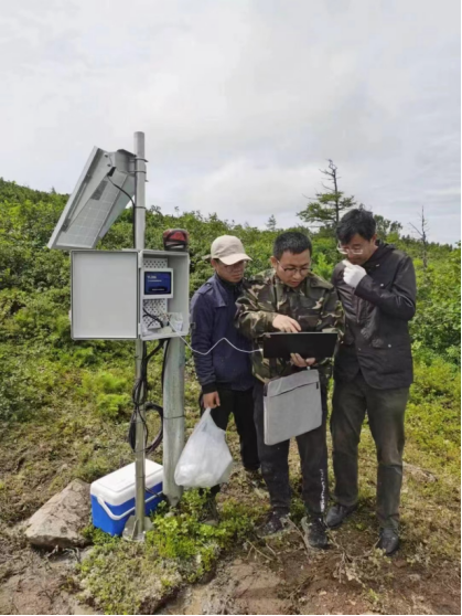 YL-306冻土温度廓线监测系统